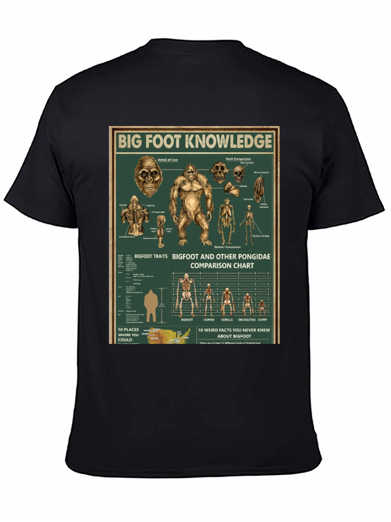 Bigfoot Knowledge Graphic T-Shirt