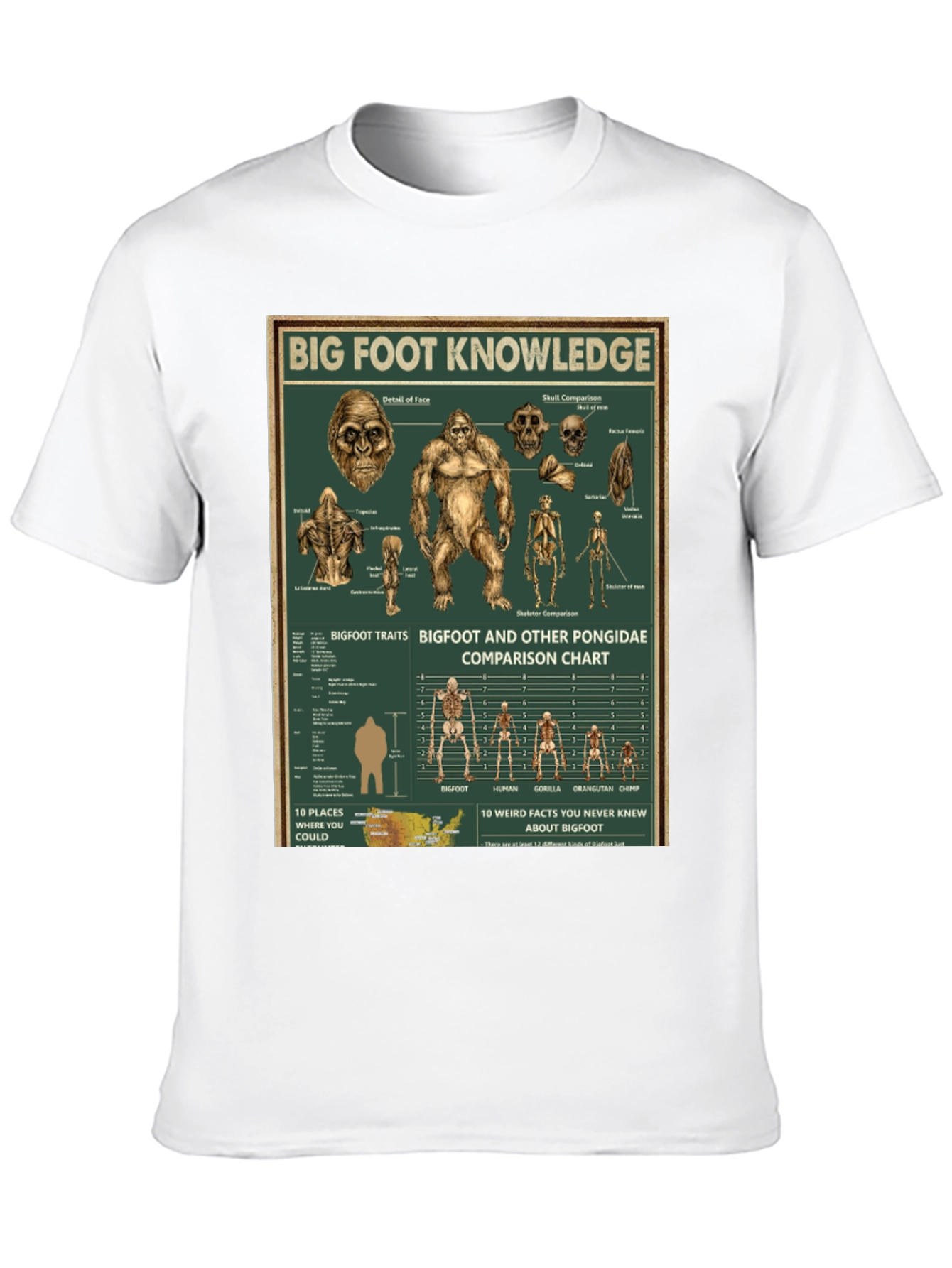 Bigfoot Knowledge Graphic T-Shirt