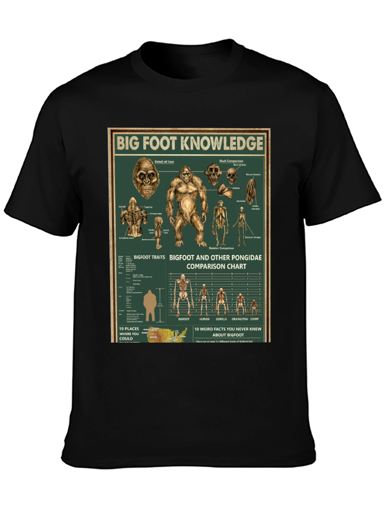 Bigfoot Knowledge Graphic T-Shirt