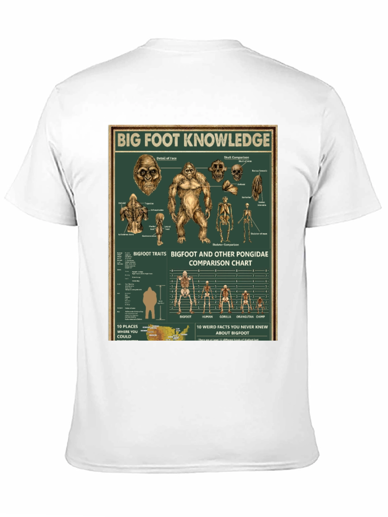 Bigfoot Knowledge Graphic T-Shirt