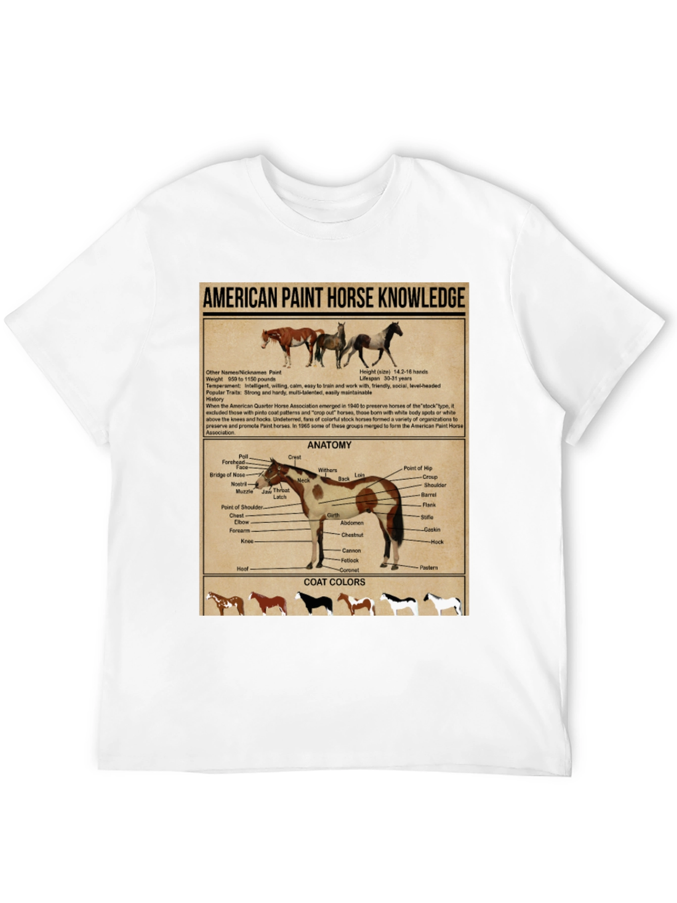 American Paint Horse Knowledge T-Shirt