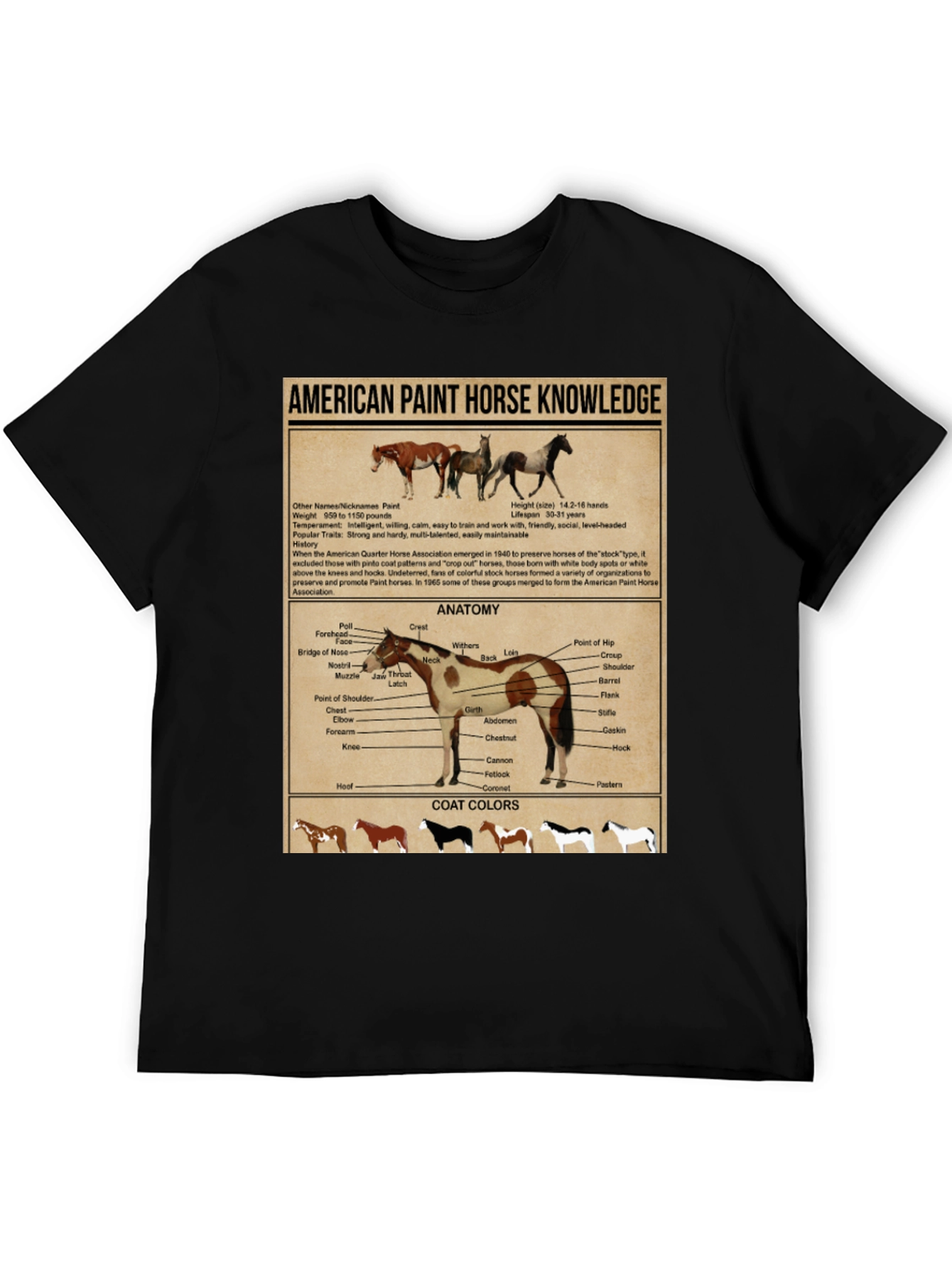 American Paint Horse Knowledge T-Shirt