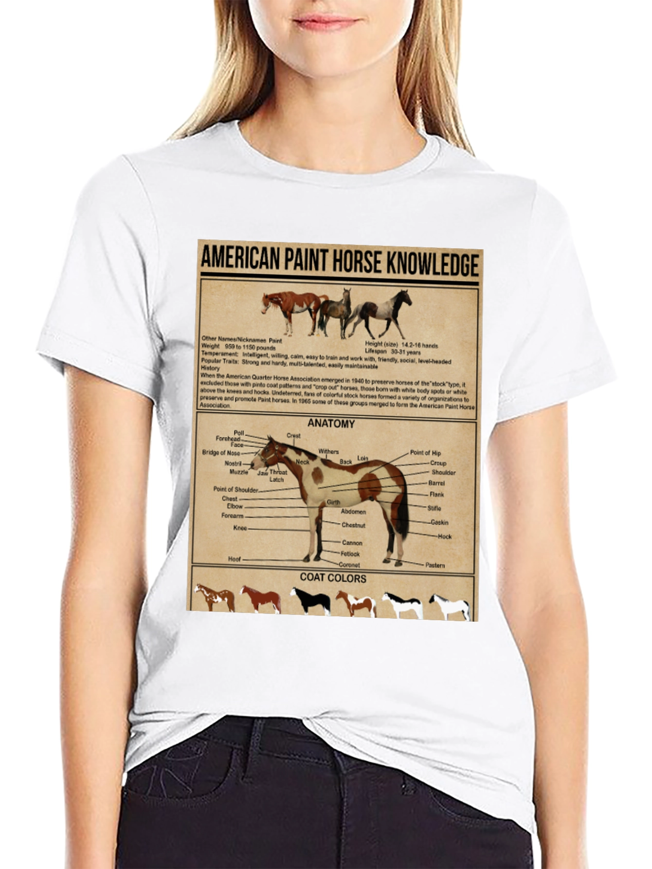 American Paint Horse Knowledge T-Shirt
