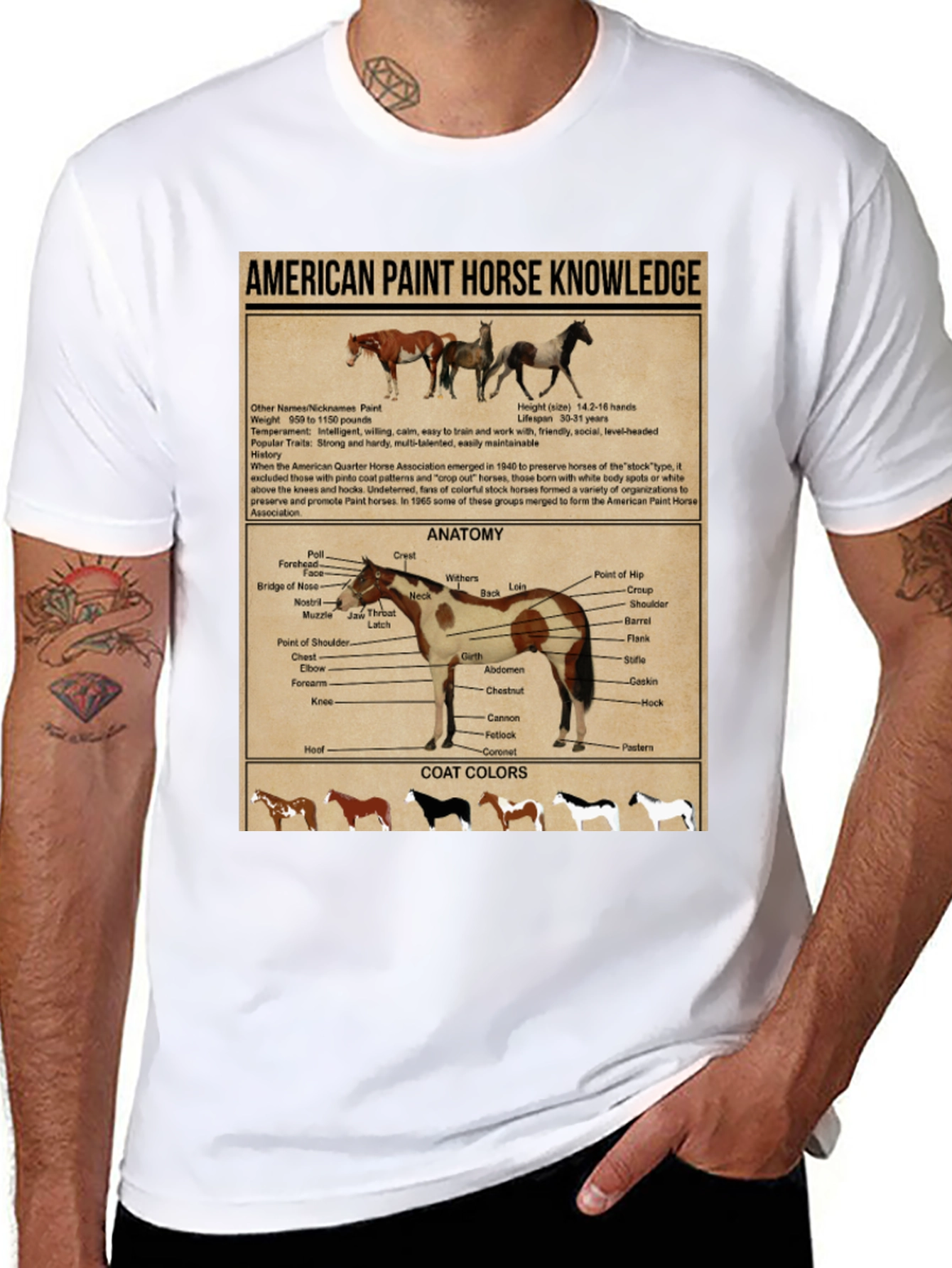 American Paint Horse Knowledge T-Shirt