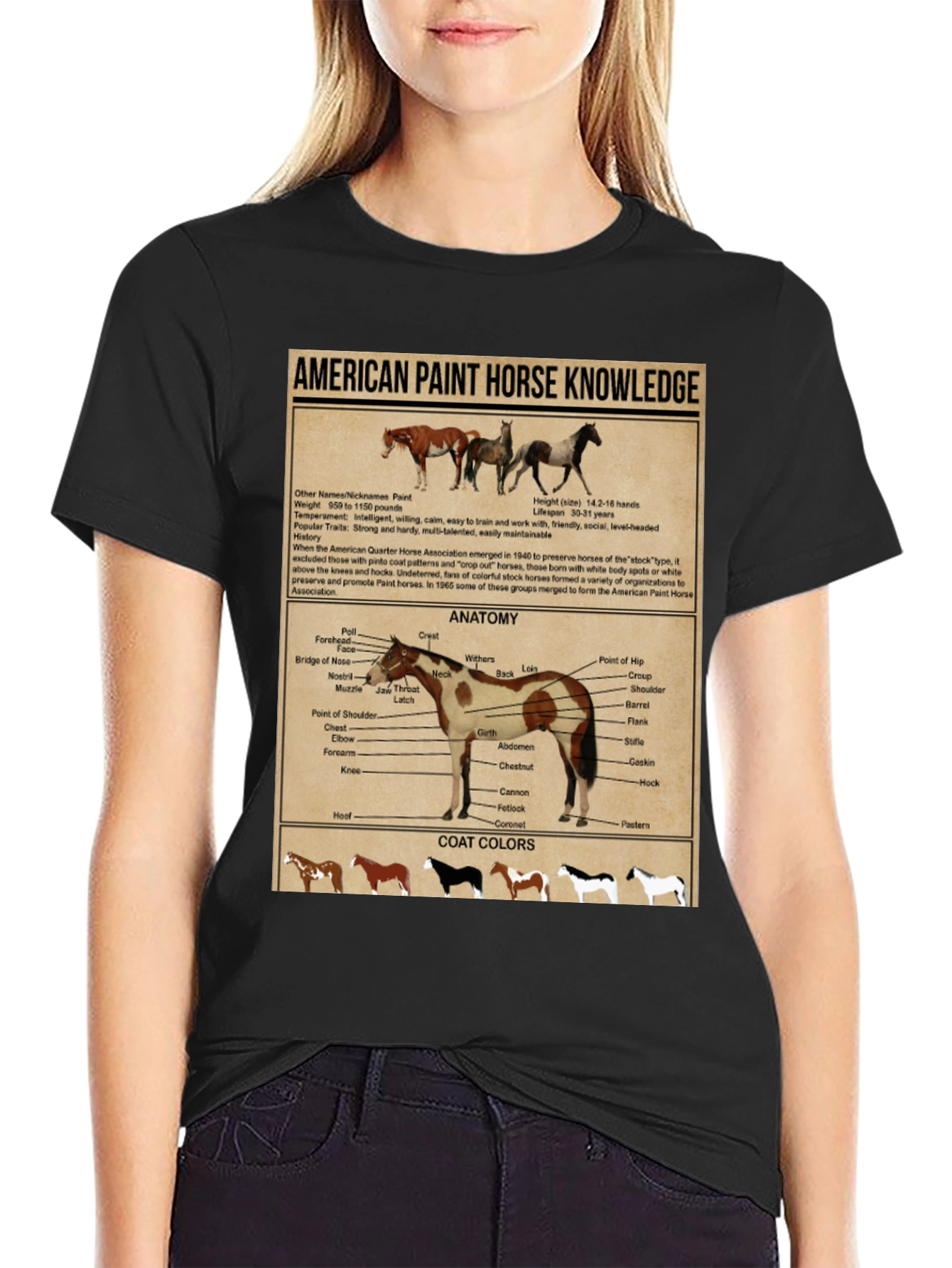 American Paint Horse Knowledge T-Shirt