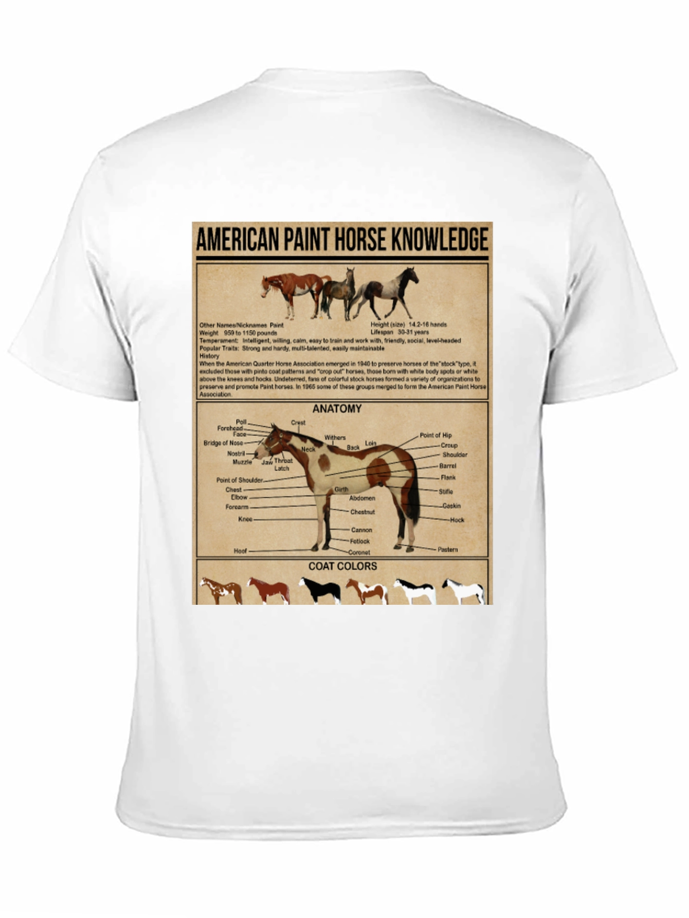 American Paint Horse Knowledge T-Shirt