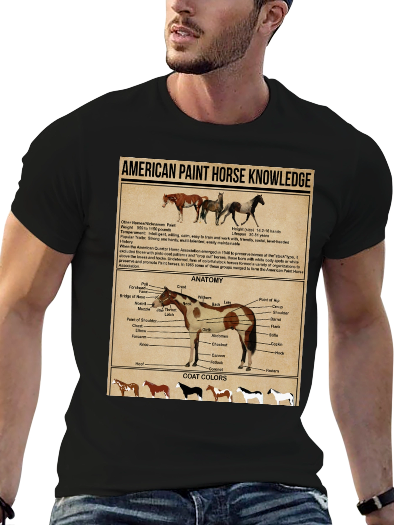 American Paint Horse Knowledge T-Shirt