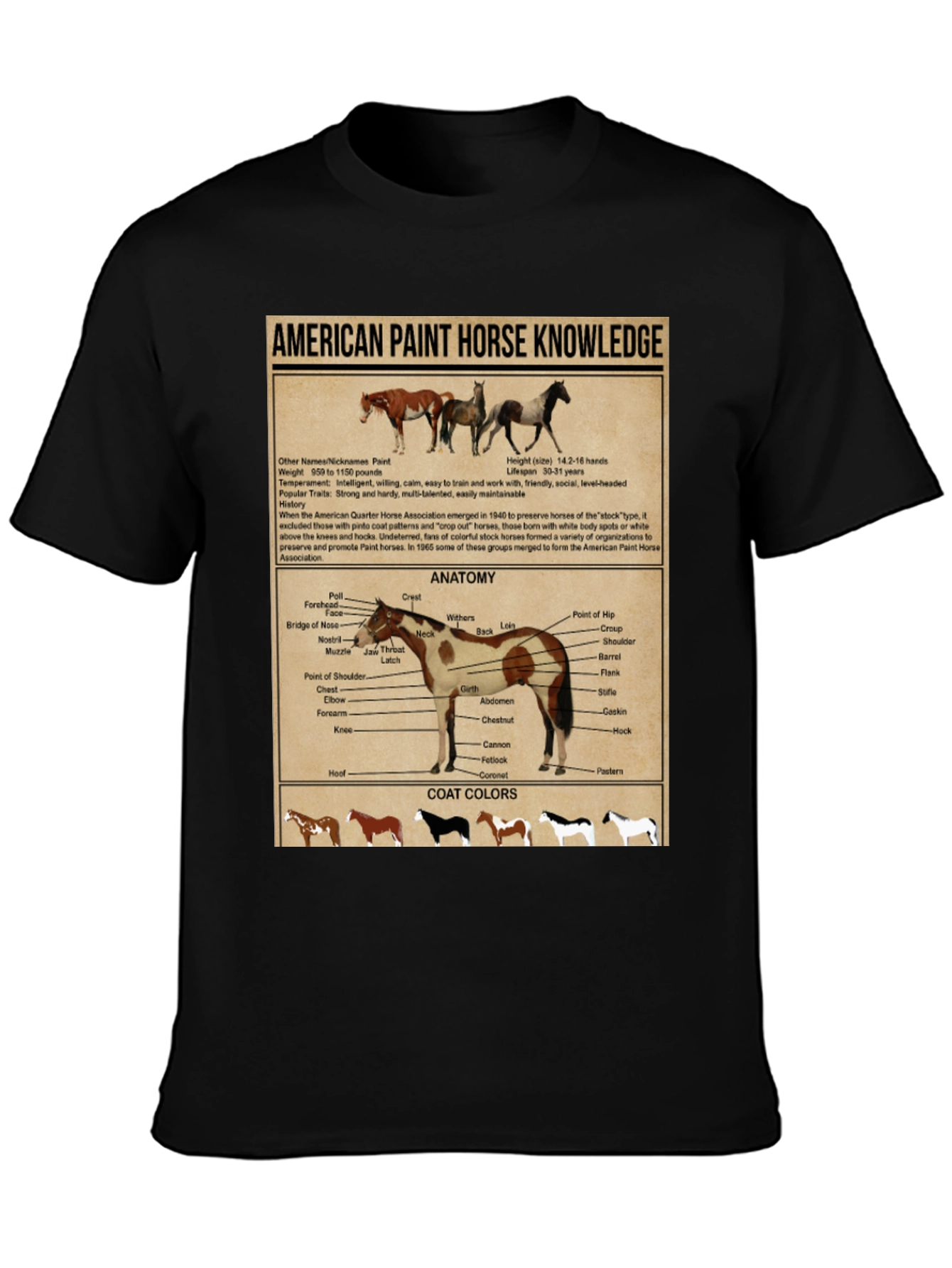 American Paint Horse Knowledge T-Shirt