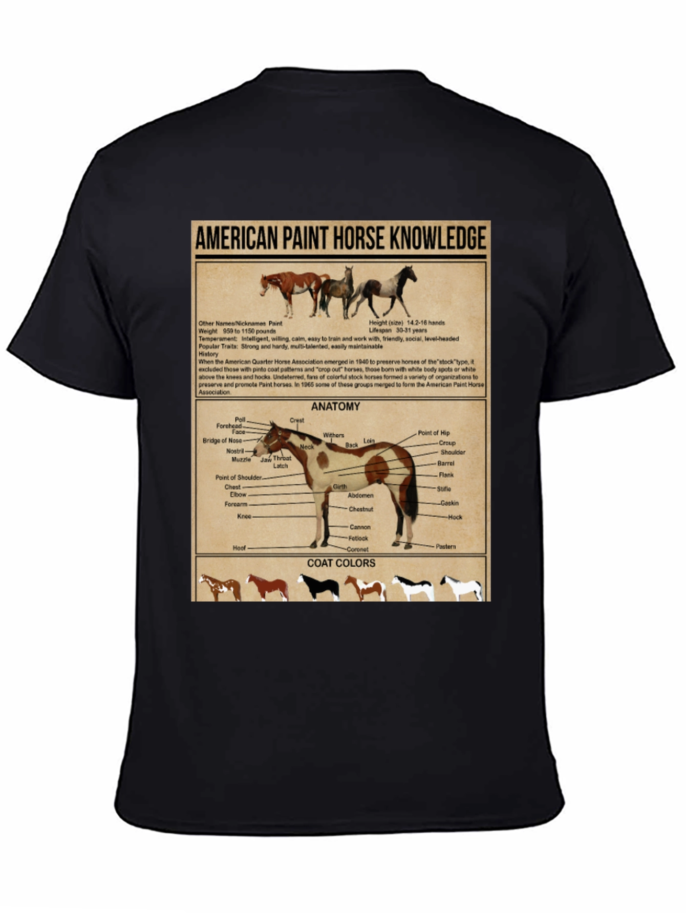 American Paint Horse Knowledge T-Shirt