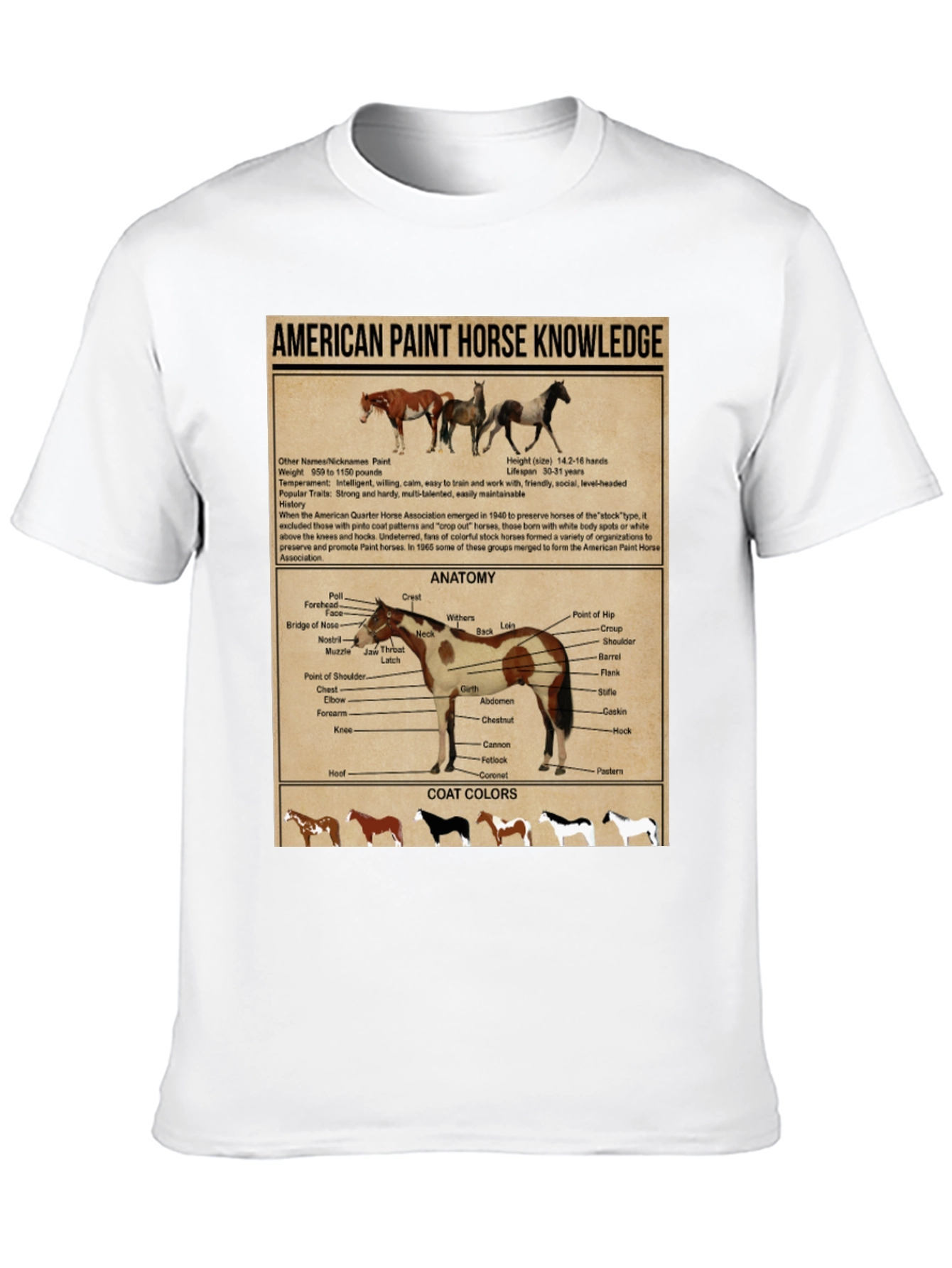 American Paint Horse Knowledge T-Shirt