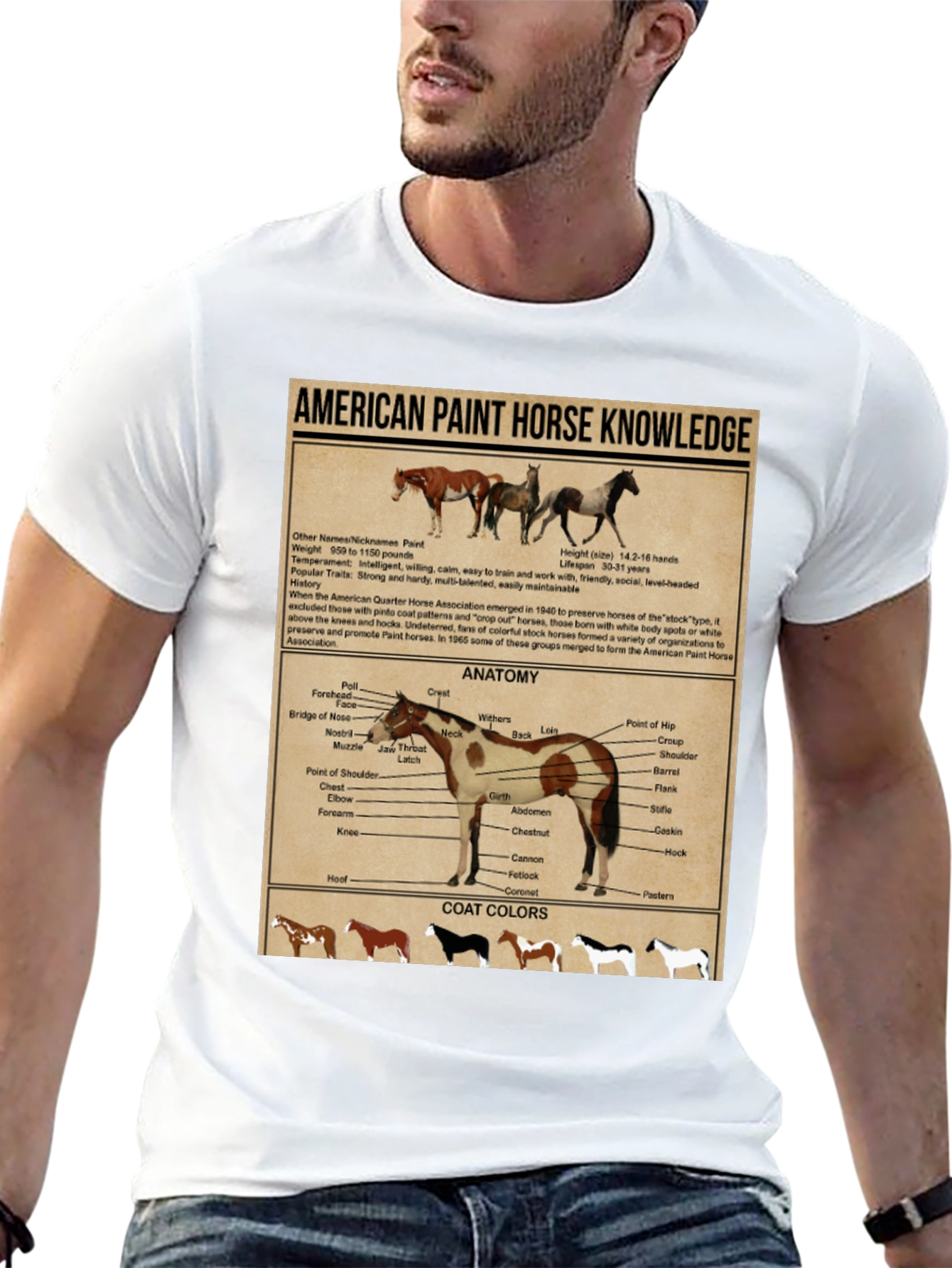 American Paint Horse Knowledge T-Shirt
