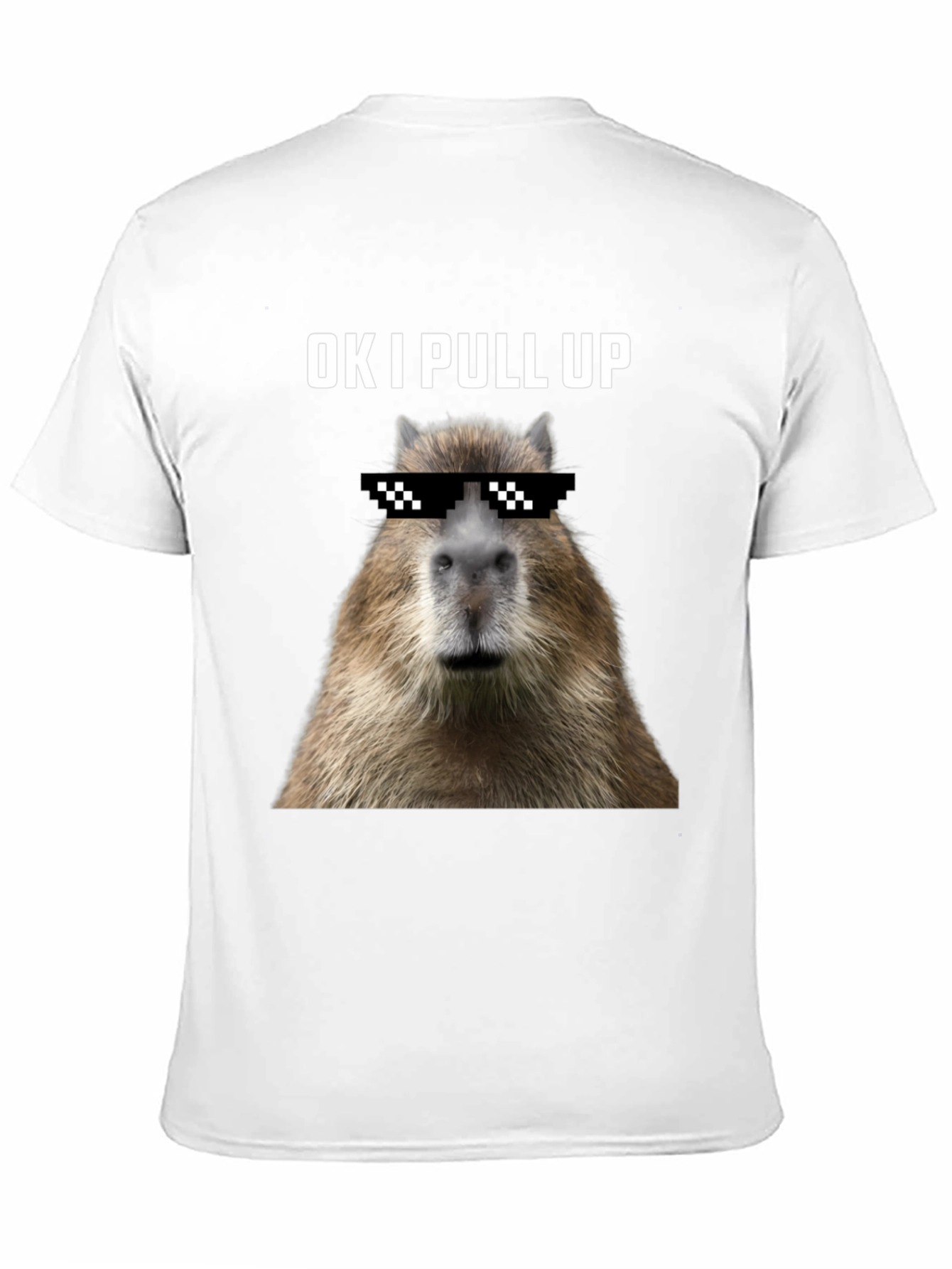 Ok I Pull Up Capybara Graphic Tee