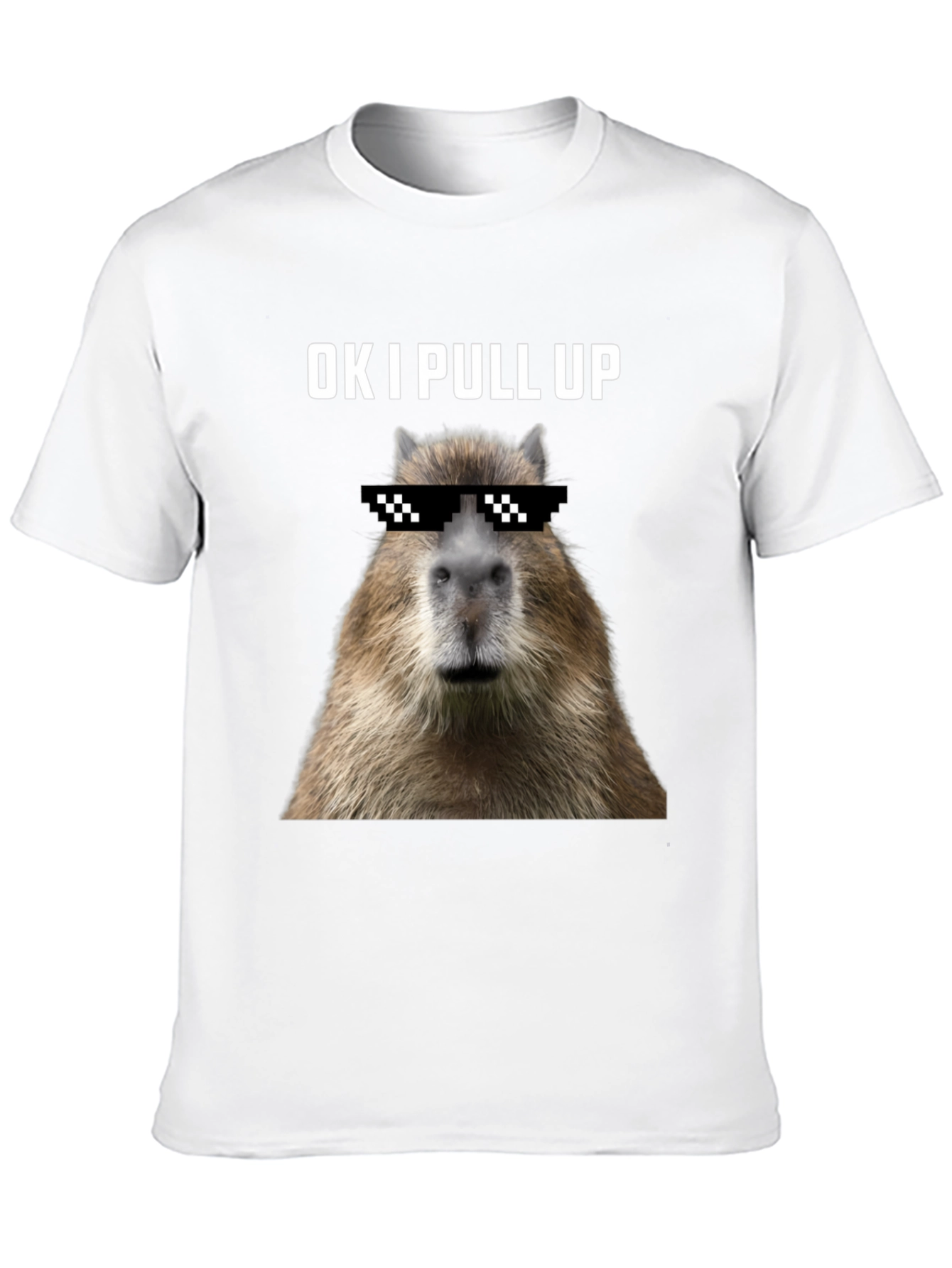 Ok I Pull Up Capybara Graphic Tee