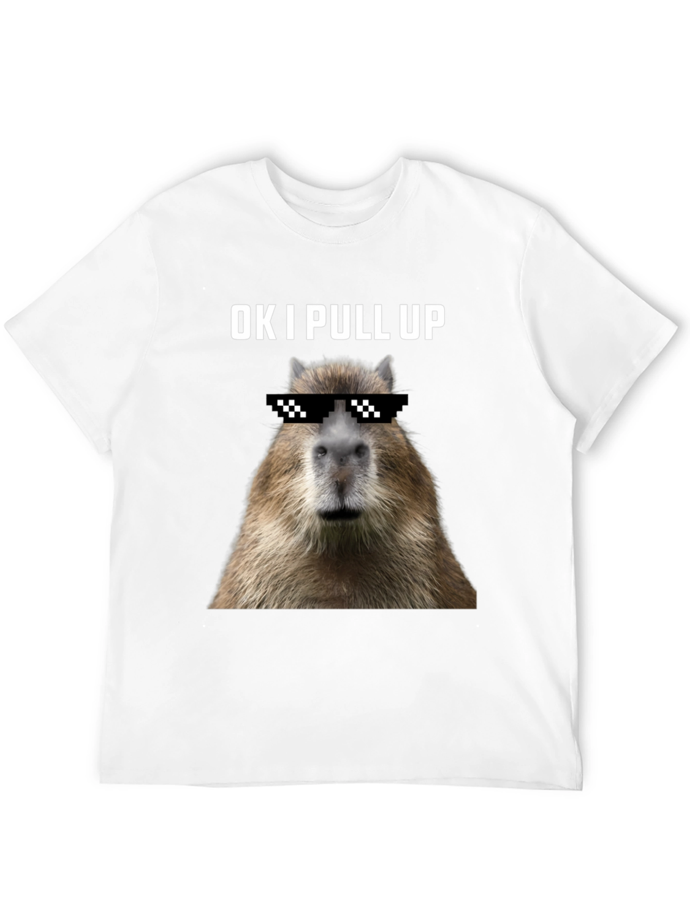 Ok I Pull Up Capybara Graphic Tee