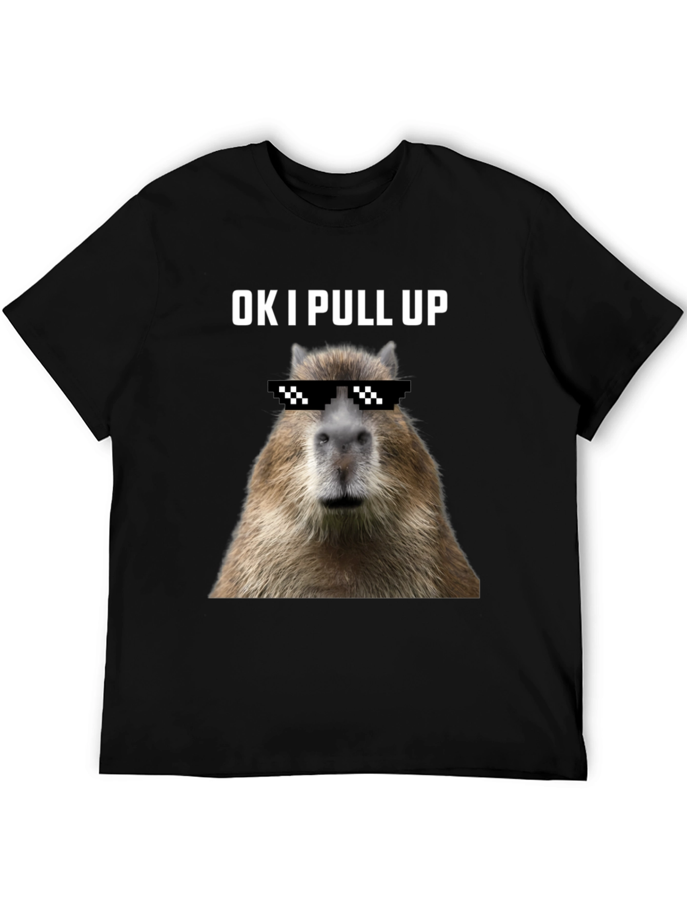Ok I Pull Up Capybara Graphic Tee