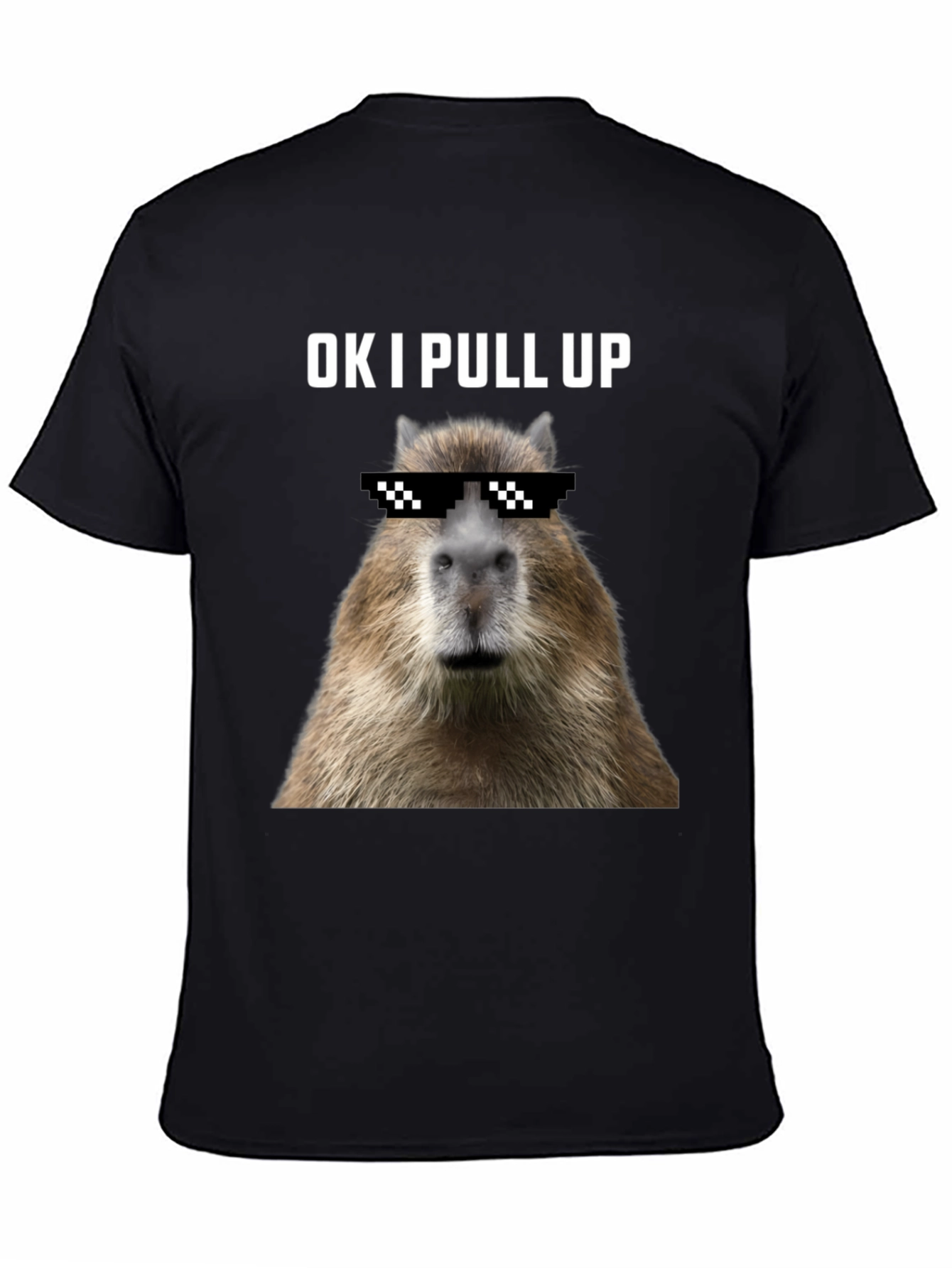 Ok I Pull Up Capybara Graphic Tee