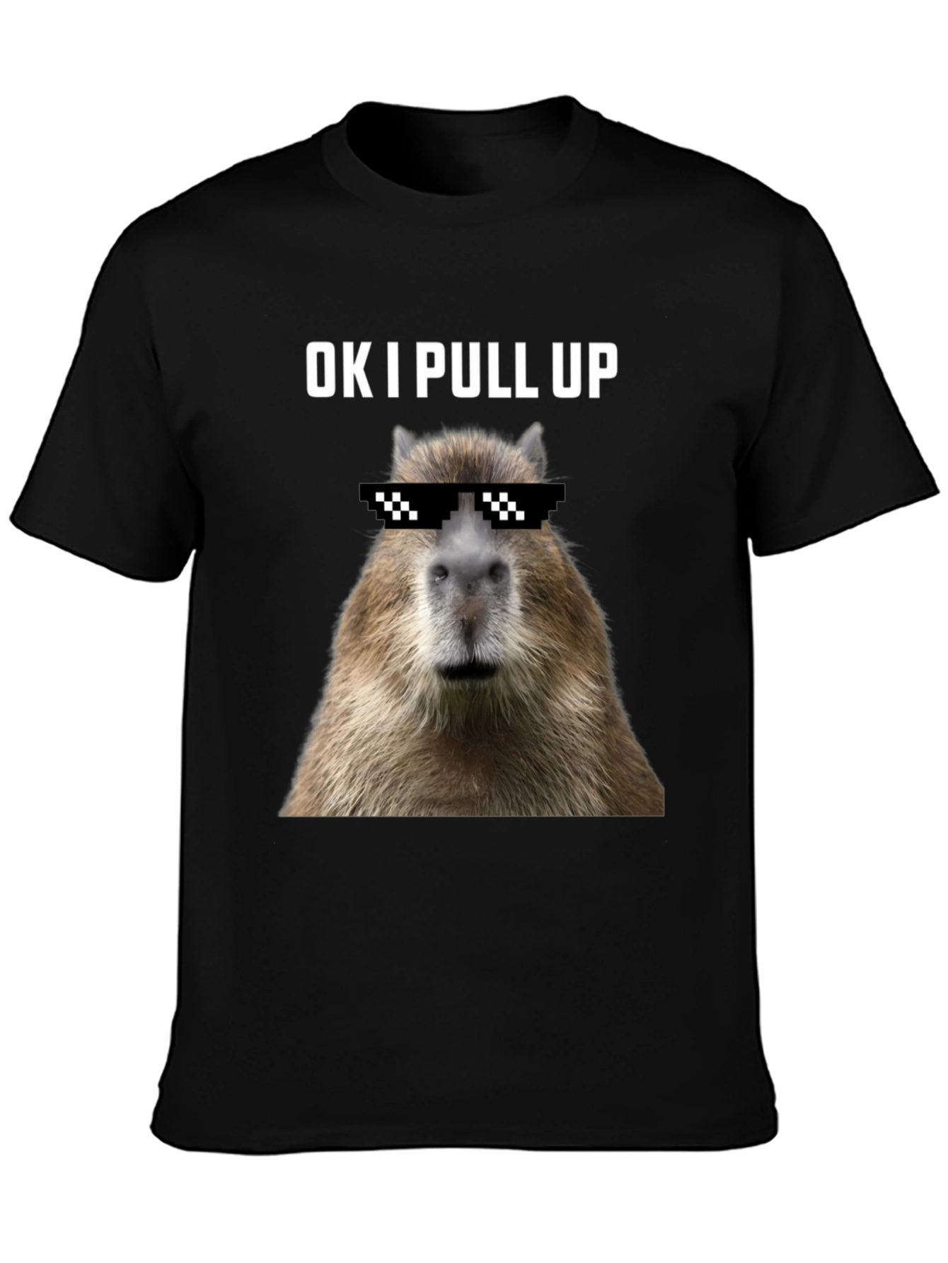 Ok I Pull Up Capybara Graphic Tee