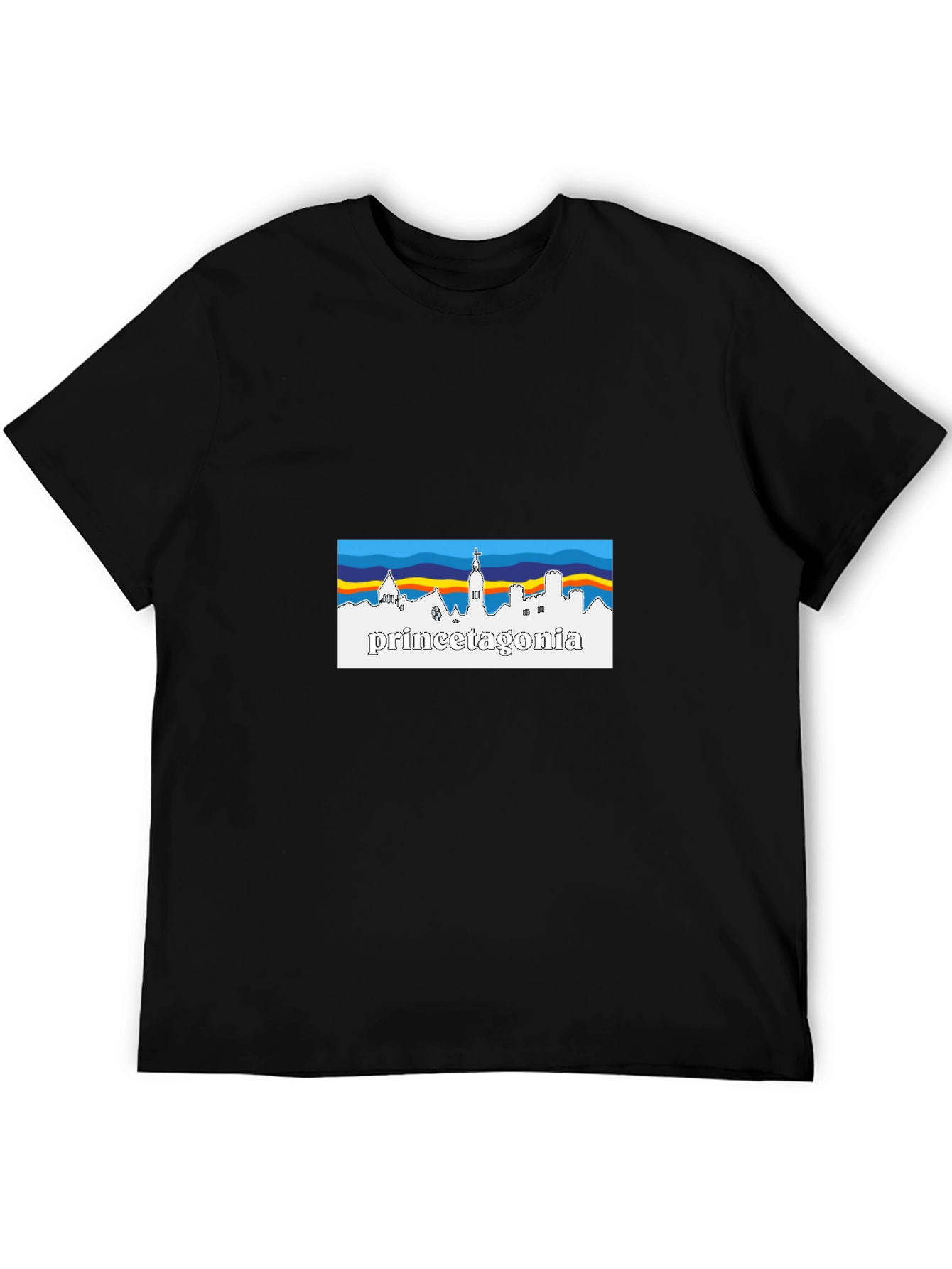 Princetagonia Skyline T-Shirt