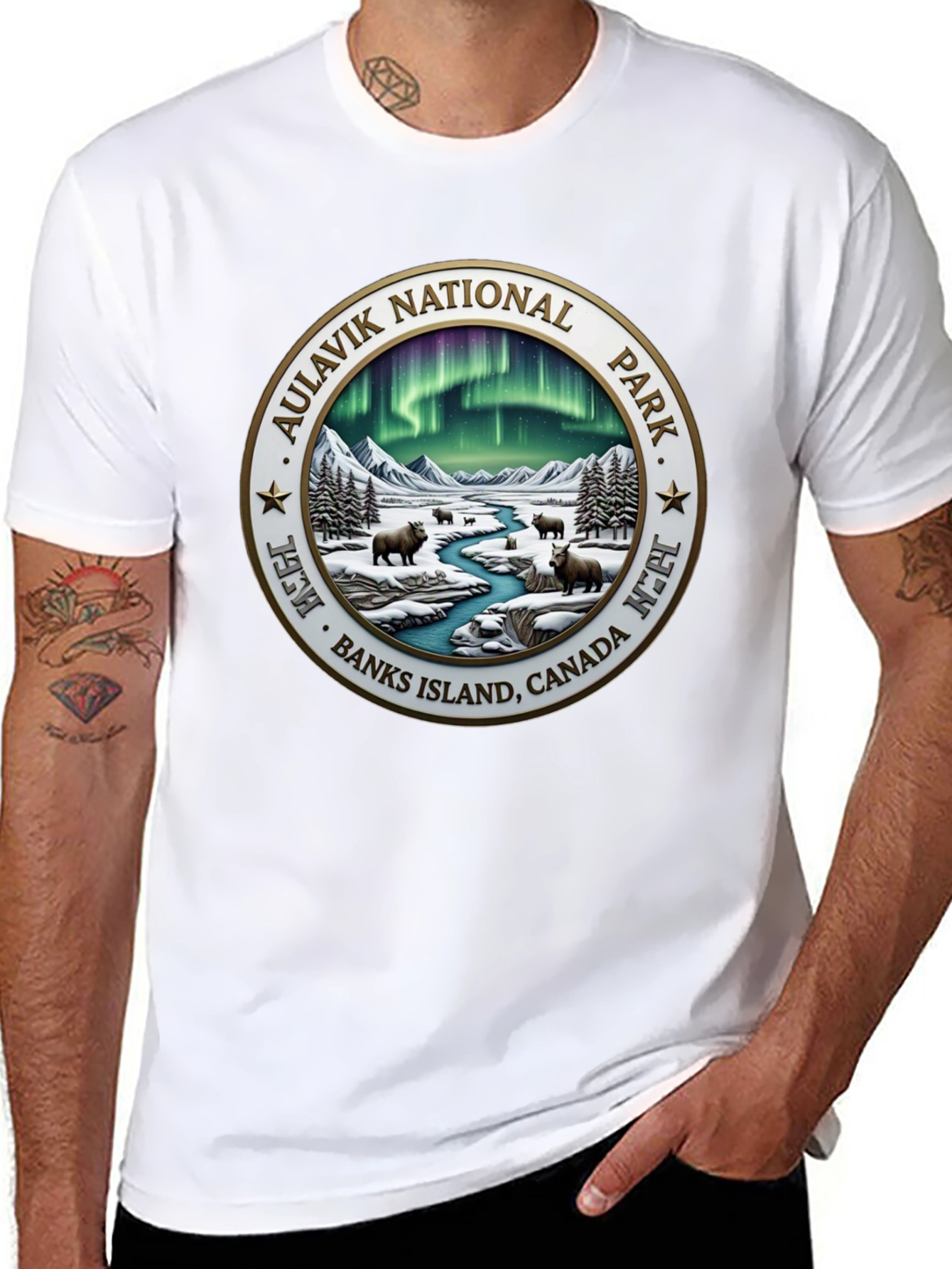 Aulavik National Park T-Shirt