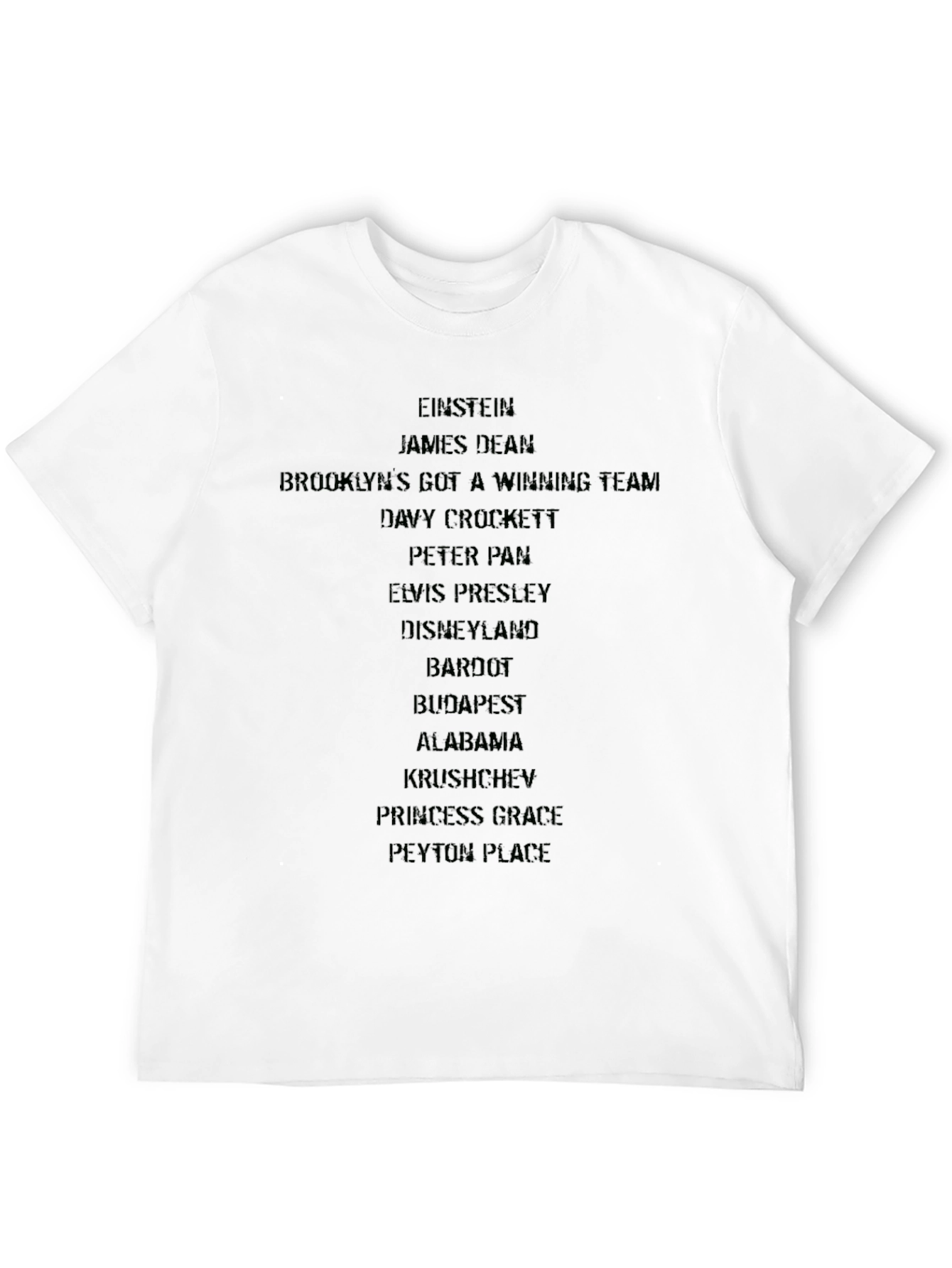 Einstein & Iconic Pop Culture Black T-Shirt
