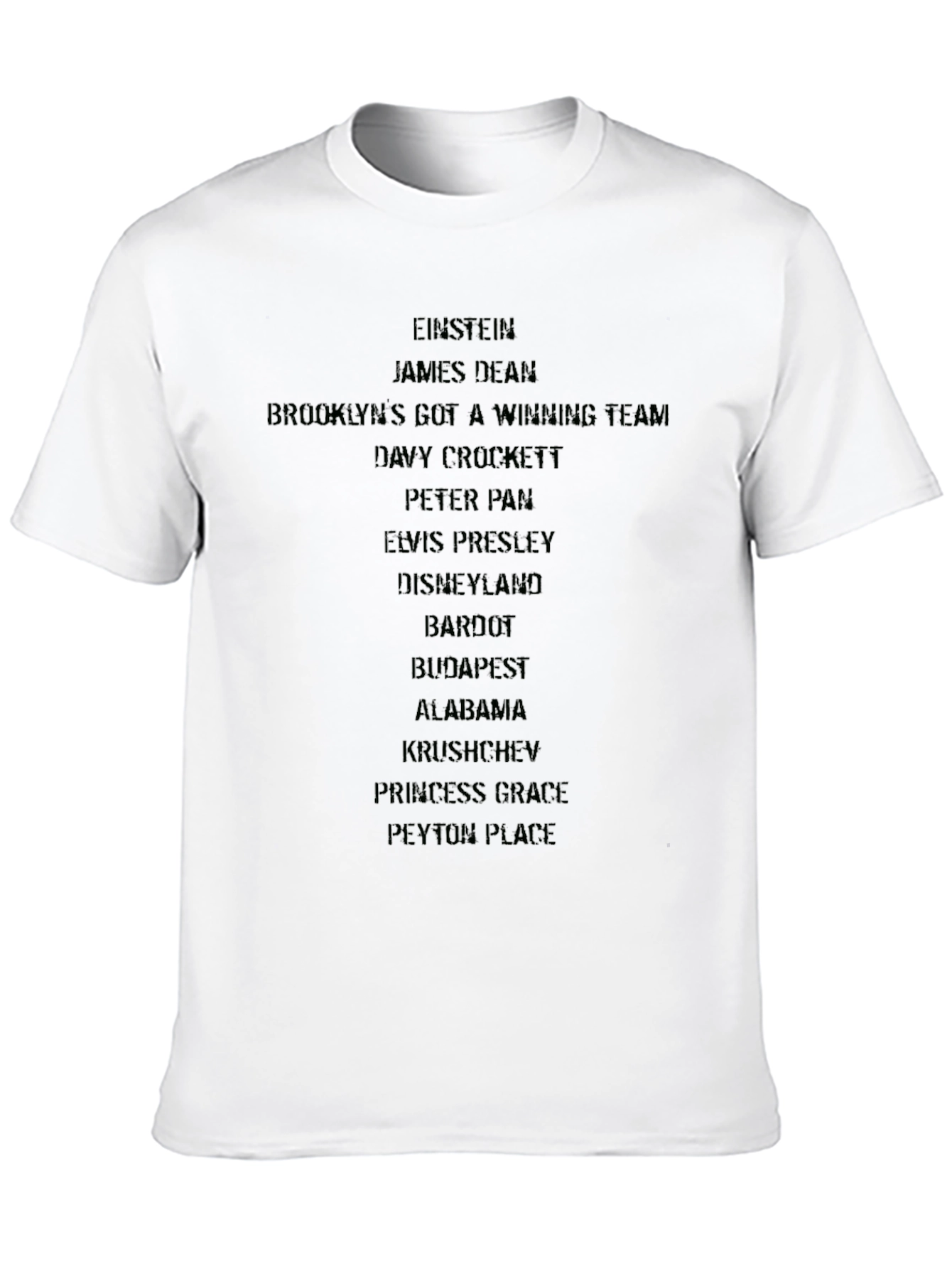 Einstein & Iconic Pop Culture Black T-Shirt