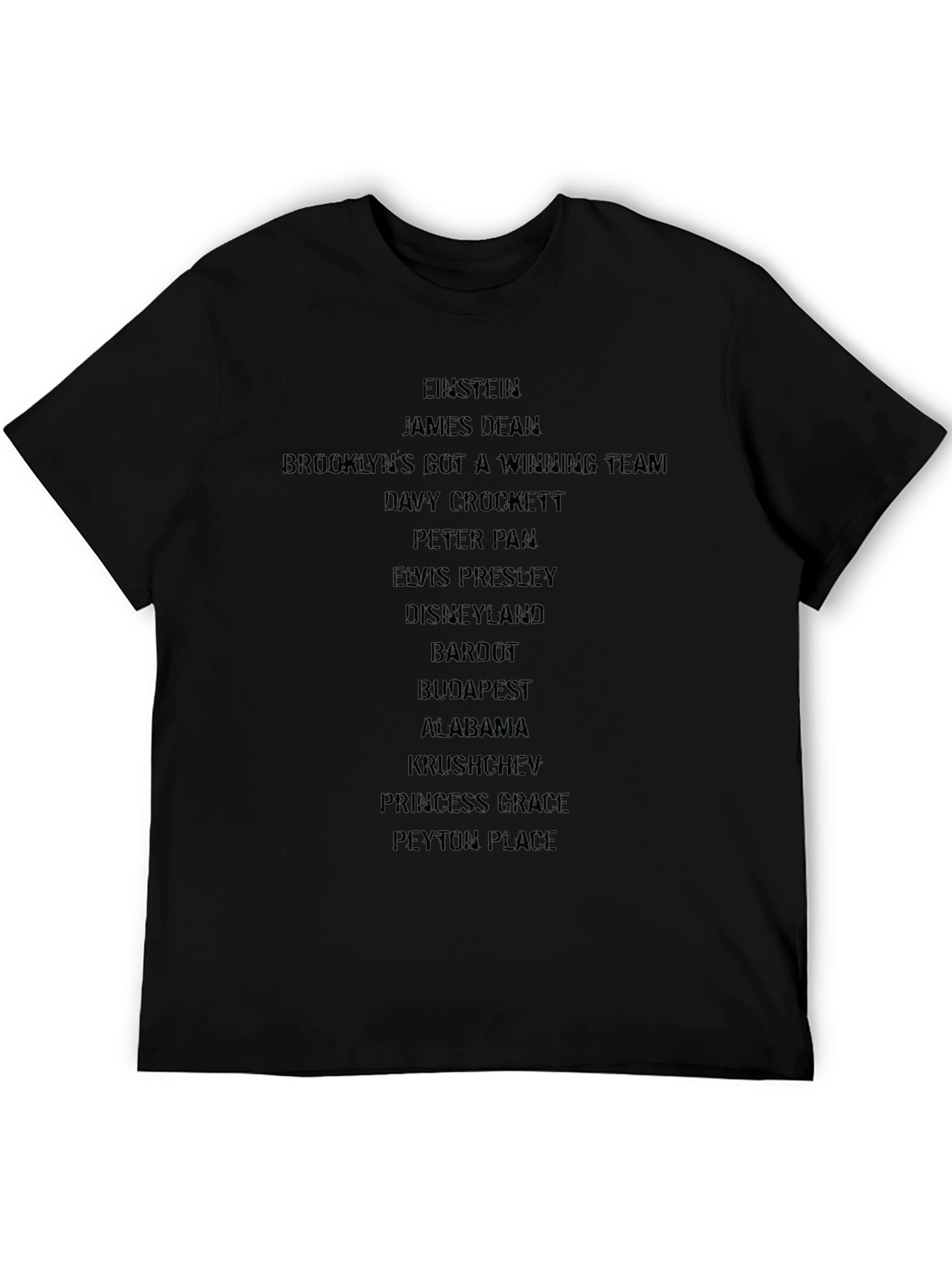 Einstein & Iconic Pop Culture Black T-Shirt