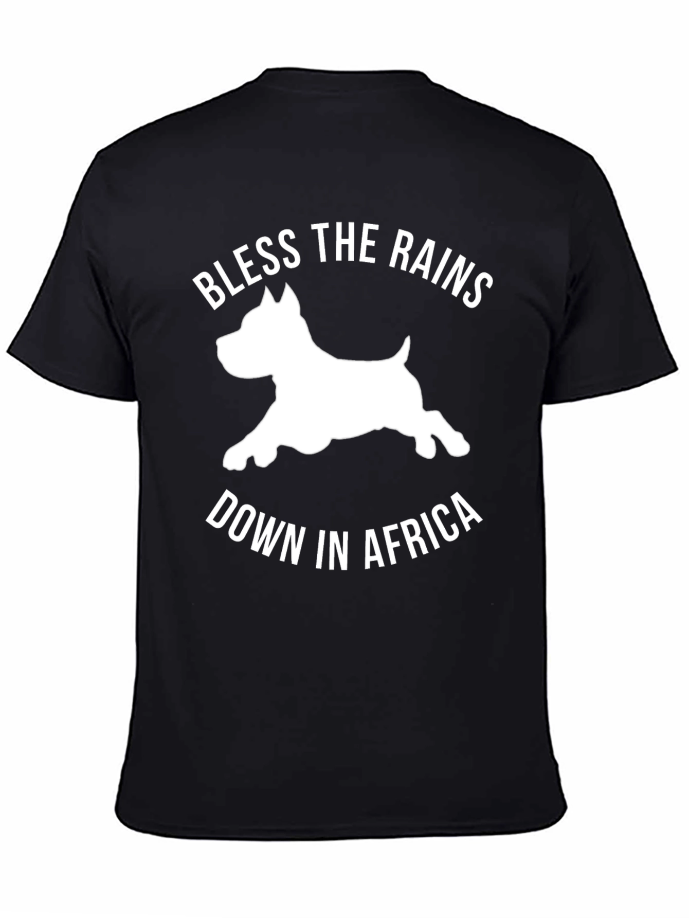 Bless the Rains Down in Africa T-Shirt