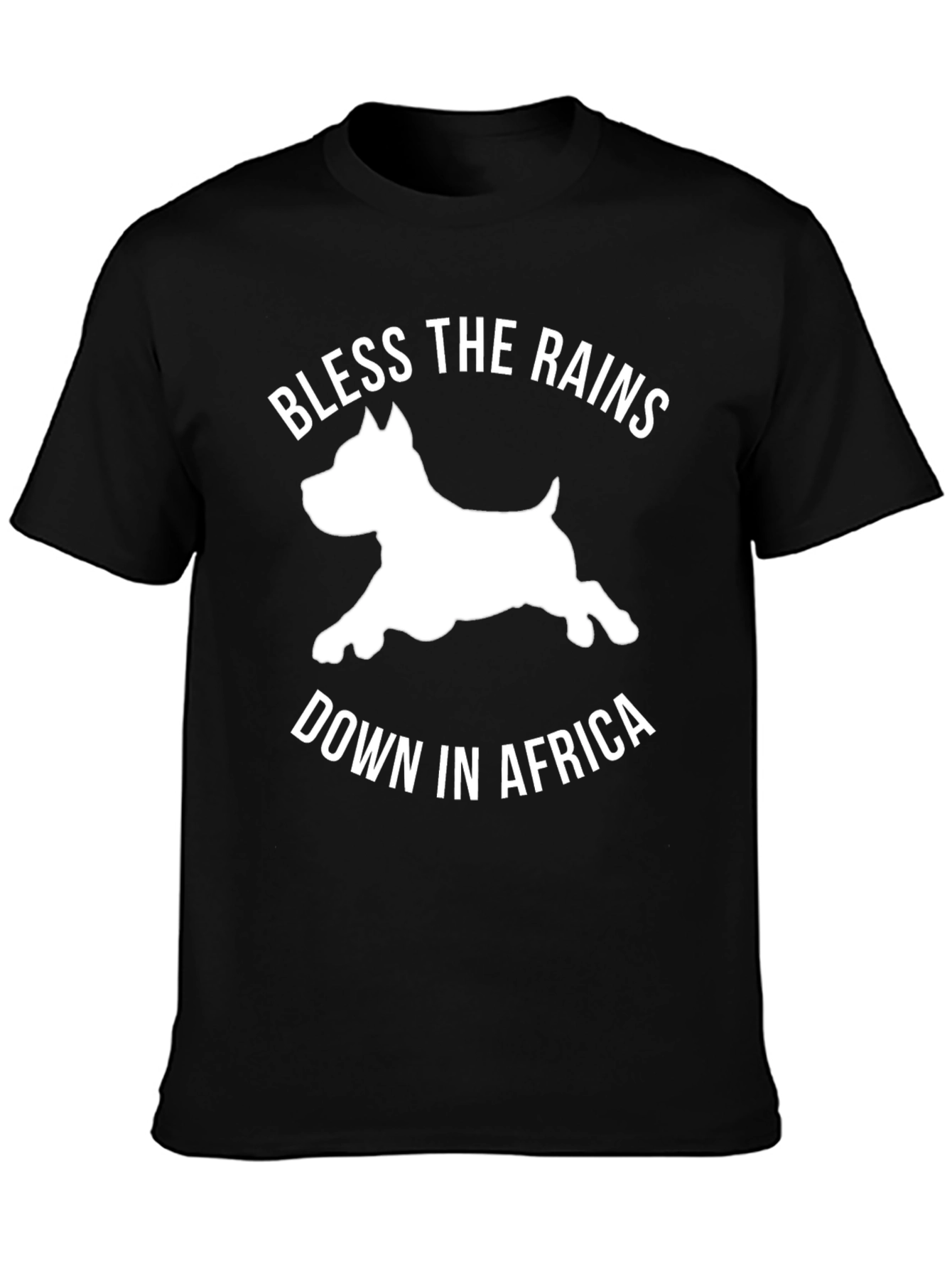 Bless the Rains Down in Africa T-Shirt