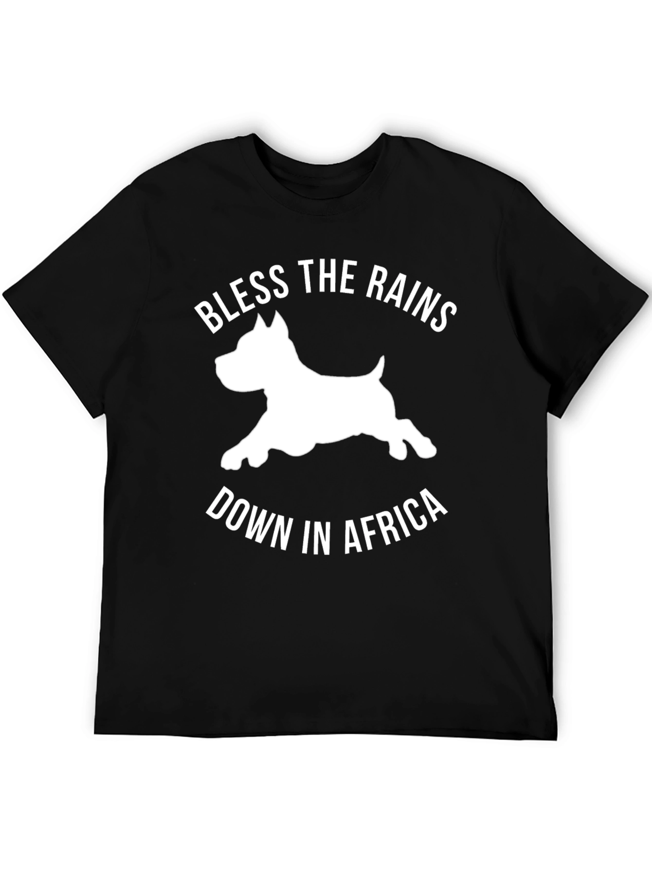 Bless the Rains Down in Africa T-Shirt