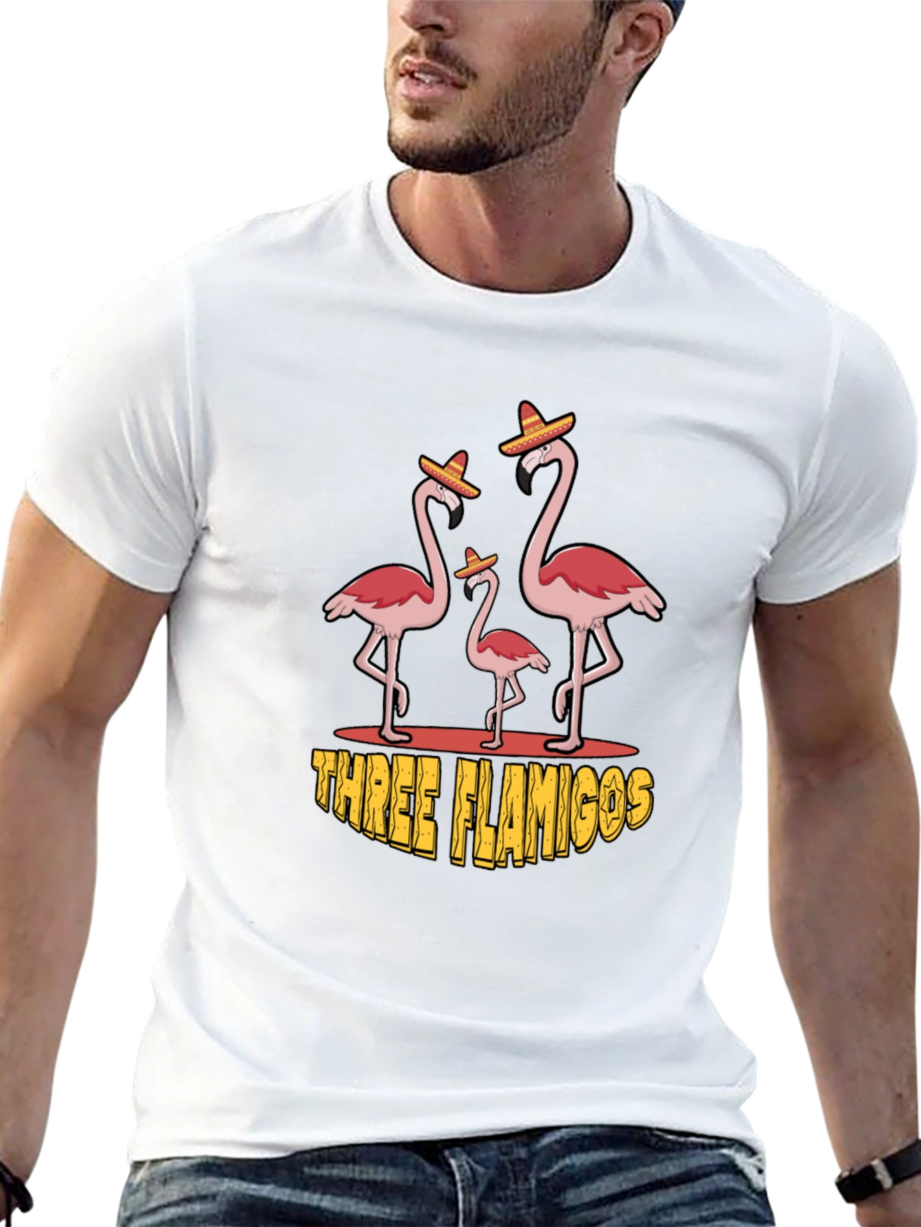 Three Flamingos Black Graphic Tee