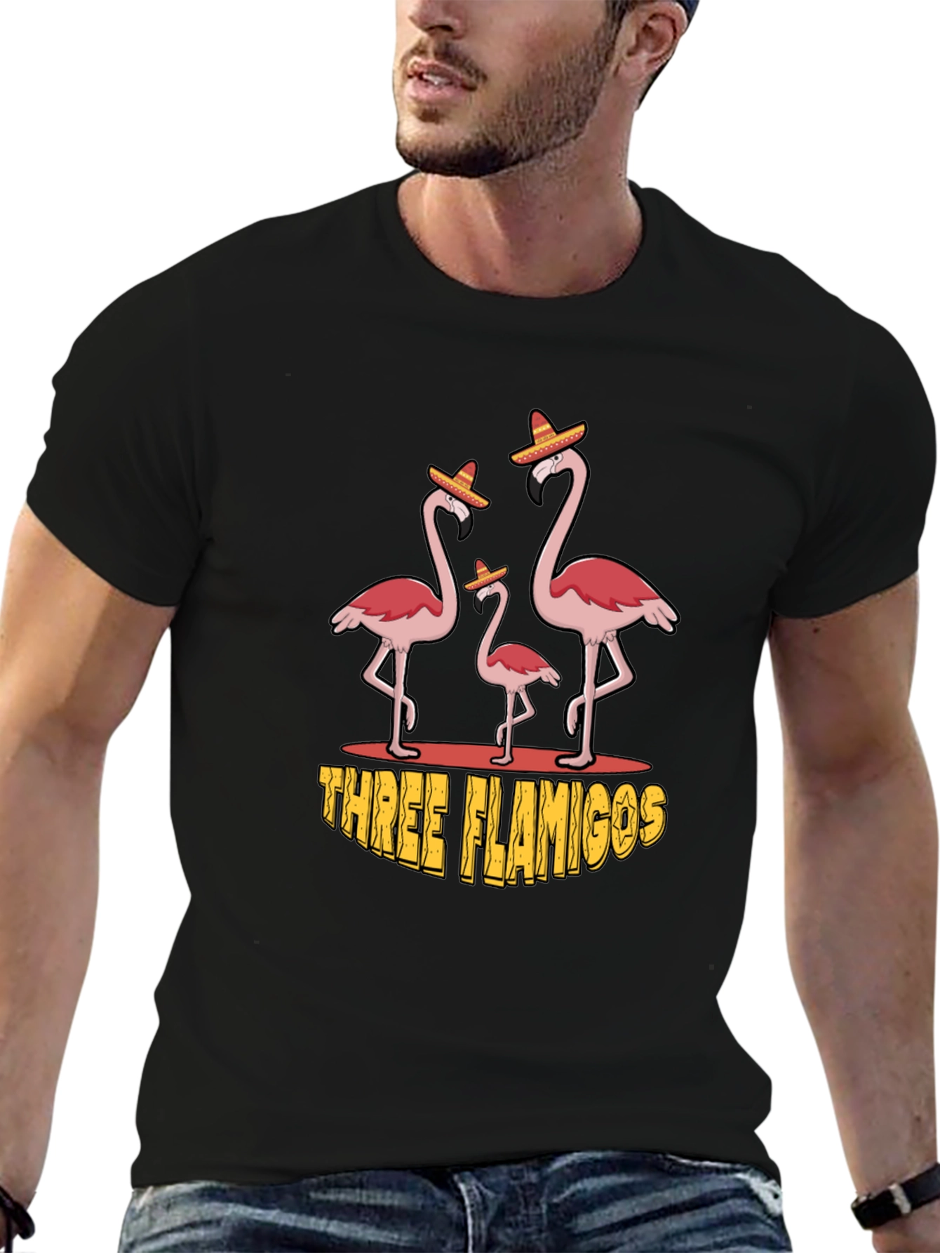 Three Flamingos Black Graphic Tee