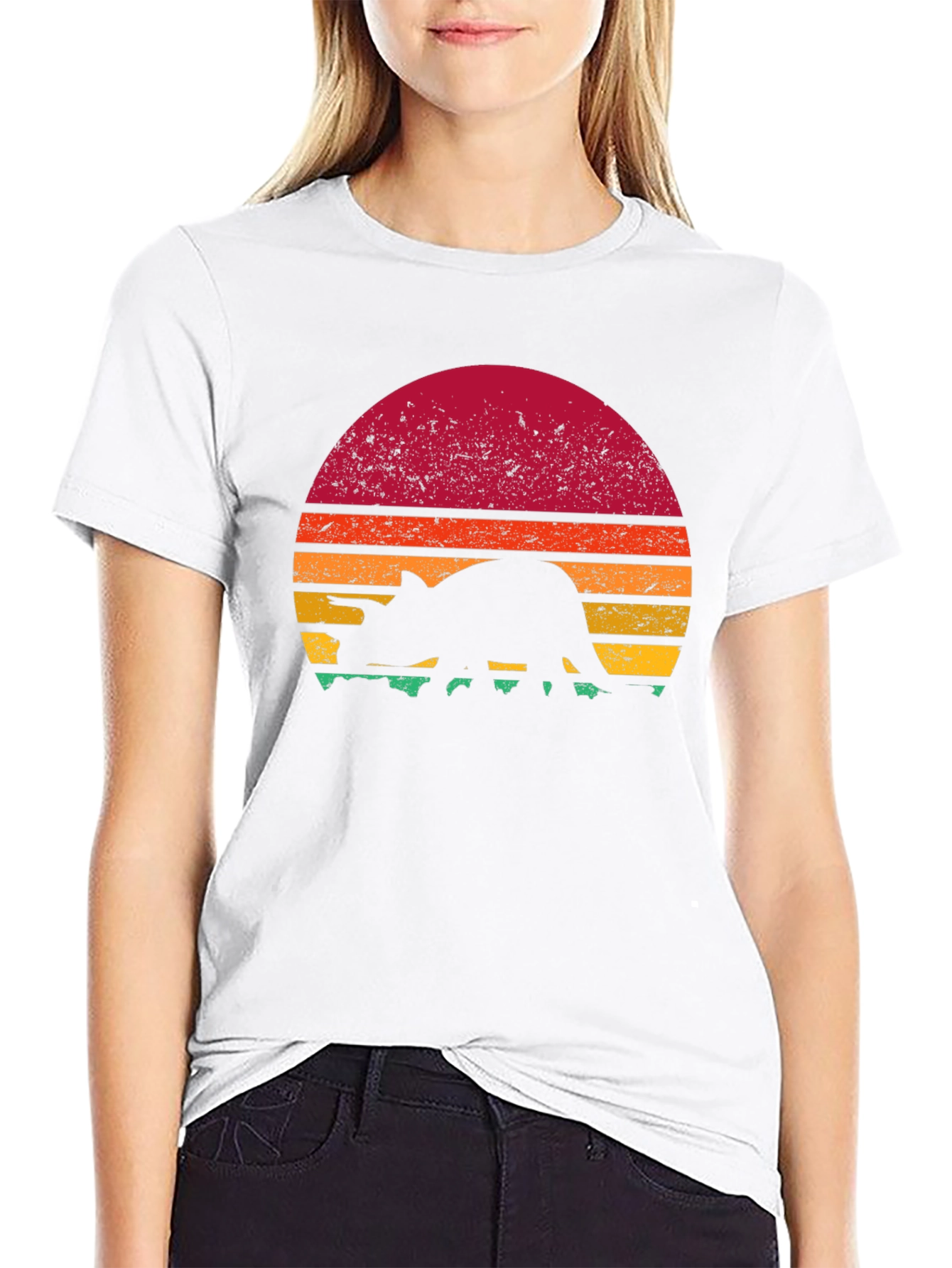 Retro Dinosaur Sunset Graphic T-Shirt